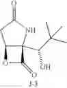 Fig. 26 - Lactacystin analogs