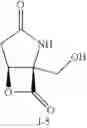 Fig. 28 - Lactacystin analogs