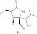Fig. 29 - Lactacystin analogs
