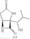 Fig. 32 - Lactacystin analogs