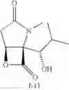 Fig. 34 - Lactacystin analogs