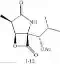 Fig. 35 - Lactacystin analogs