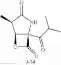 Fig. 37 - Lactacystin analogs