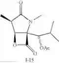 Fig. 38 - Lactacystin analogs
