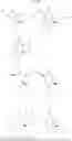 Fig. 40 - Lactacystin analogs