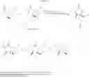 Fig. 54 - Lactacystin analogs