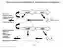 Fig. 05 - METHOD FOR MODULATING MICROBIAL QUORUM SENSING