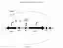 Fig. 13 - METHOD FOR MODULATING MICROBIAL QUORUM SENSING