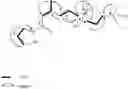 Fig. 21 - Pyrroloterpenes and use of the same as antimicrobial and anticancer agents