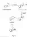Fig. 02 - Bioactive compounds and methods of uses thereof