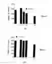 Fig. 06 - Bioactive compounds and methods of uses thereof