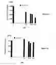 Fig. 13 - Bioactive compounds and methods of uses thereof