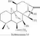 Fig. 21 - Bioactive compounds and methods of uses thereof