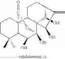 Fig. 22 - Bioactive compounds and methods of uses thereof