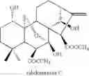Fig. 24 - Bioactive compounds and methods of uses thereof
