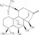 Fig. 25 - Bioactive compounds and methods of uses thereof
