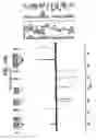 Fig. 191 - Methods of manufacture and combination compositions
