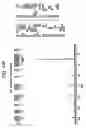 Fig. 195 - Methods of manufacture and combination compositions