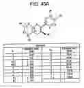 Fig. 196 - Methods of manufacture and combination compositions