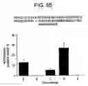 Fig. 227 - Methods of manufacture and combination compositions