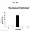 Fig. 228 - Methods of manufacture and combination compositions