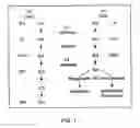 Fig. 02 - Fatty acid-containing compositions and methods for the treatment of cytokine mediated disorders
