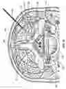 Fig. 45 - Methods of neurostimulating targeted neural tissue