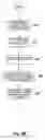Fig. 07 - Method and system for transferring content from a database to a file