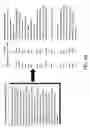 Fig. 09 - Creating a multi-relational ontology having a predetermined structure
