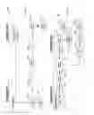 Fig. 13 - Object access level