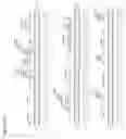 Fig. 265 - Genetically modified plants comprising SARS-CoV viral nucleotide sequences and methods of use thereof for immunization against SARS