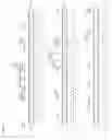 Fig. 49 - Genetically modified plants comprising SARS-CoV viral nucleotide sequences and methods of use thereof for immunization against SARS