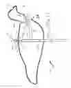 Fig. 09 - Decoy and support therefor