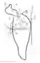 Fig. 11 - Decoy and support therefor