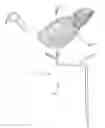 Fig. 12 - Decoy and support therefor