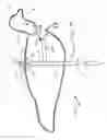 Fig. 14 - Decoy and support therefor