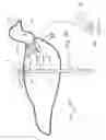 Fig. 15 - Decoy and support therefor