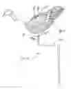 Fig. 16 - Decoy and support therefor