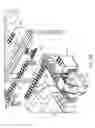 Fig. 35 - Banded envelopes and method for assembling a package of banded envelopes