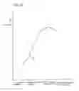 Fig. 09 - Motorcycle exhaust system