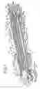 Fig. 02 - Crash cushion