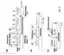 Fig. 07 - Article comprising gated field emission structures with centralized nanowires and method for making the same