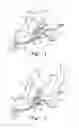 Fig. 02 - Telescoping skateboard
