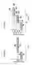 Fig. 04 - Discharge lamp lighting device, illumination device, and projector