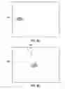 Fig. 43 - User interface for controlling animation of an object