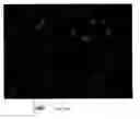 Fig. 90 - User interface for controlling animation of an object