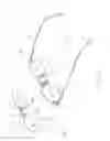 Fig. 02 - Detachable shelter frame for spectacles