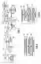 Fig. 02 - Multi-pair broadband transmission system
