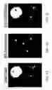 Fig. 06 - Tissue-like phantoms