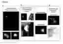 Fig. 05 - Radiation-induced cellular adaptive response